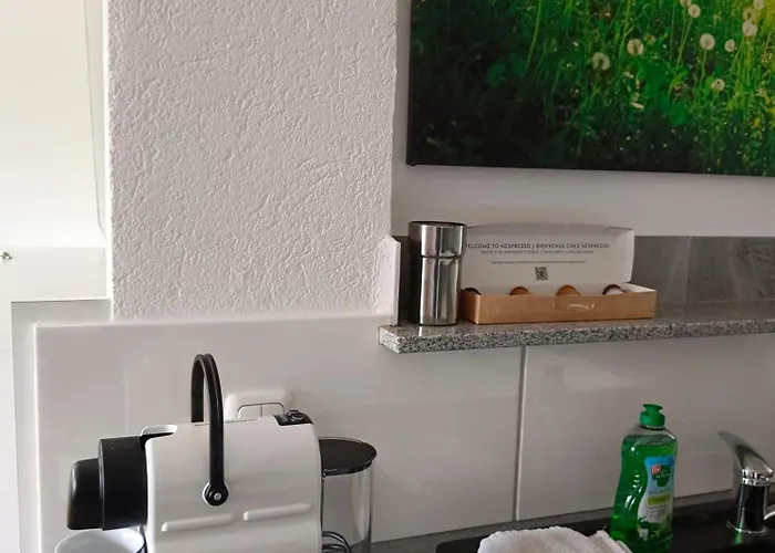 Suite-traunsee Apartamento Nachdemsee