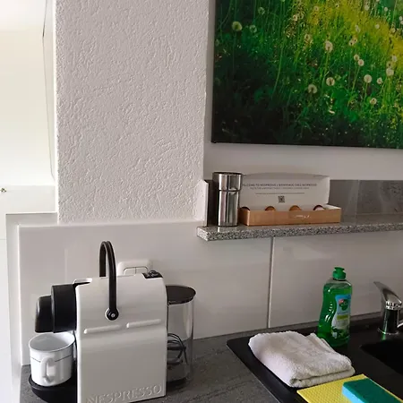 Suite-traunsee Apartment Nachdemsee